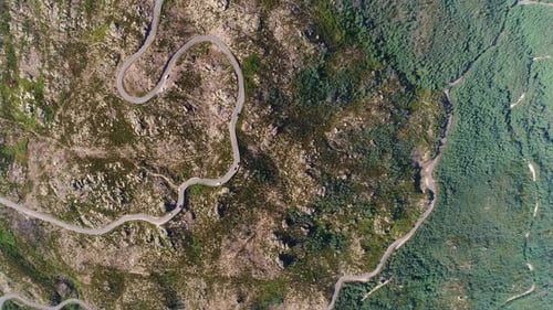 Forest Road