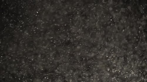 Floating White Dust Particles Are Glittering on a Black Background.