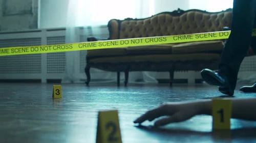 Detective Investigates Crime Scene and Collects Evidence