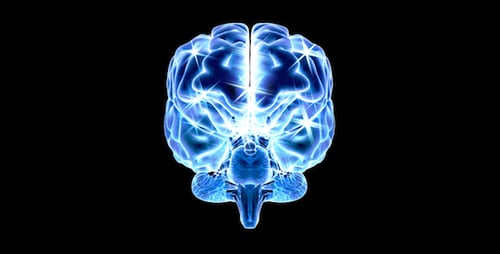 Animated 3D Human Brain with Glowing Neural Activity