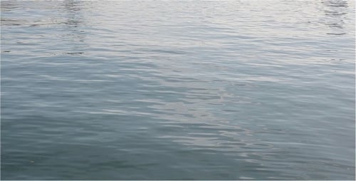 Sea