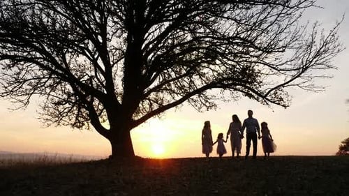 Silhouette of Family Holding Hands at Sunset