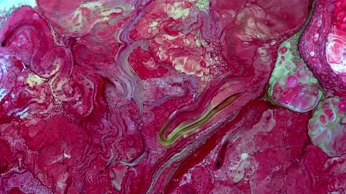 Abstract Colorful Ink Spread Art