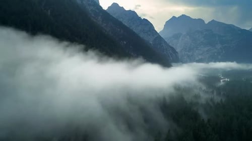Foggy Mountain Forest Aerial View