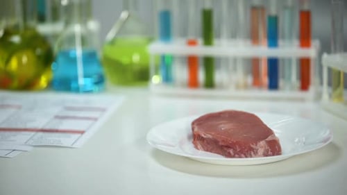 Meat Sample Tested in Food Science Laboratory