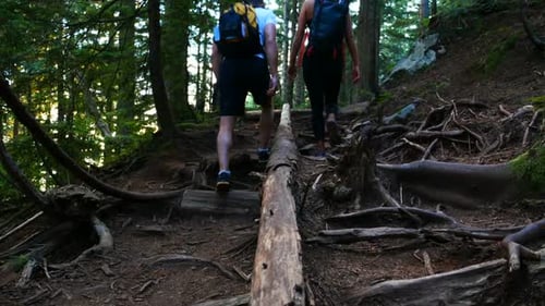 Hiker couple hiking in forest
