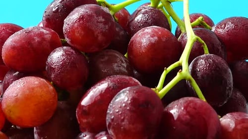 Grapes 6