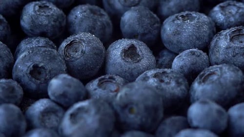 Wet Blueberries Macro Fresh Fruit Close Up