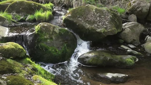 Falls on the small mountain creek