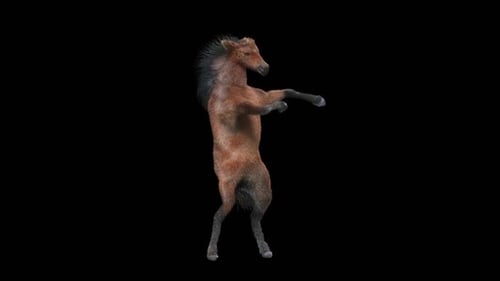 3D Animated Dancing Horse Creature With Alpha Channel