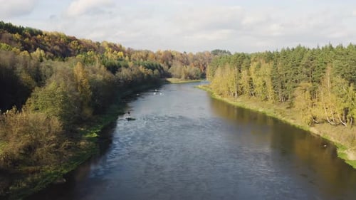 Autumn Fall River. Flying over Water Stream and Colorful Trees