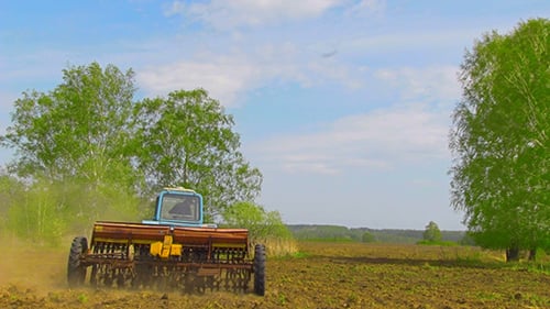 Spring Field