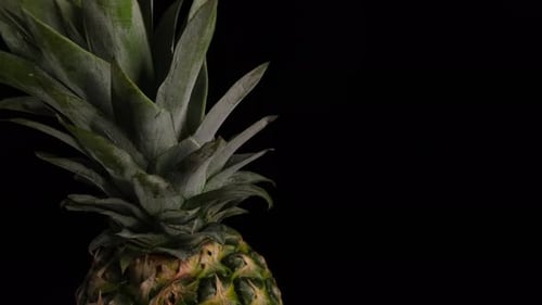 Rotierende Ananas auf schwarzem Hintergrund Nahaufnahme mit Leerzeichen zum Einfügen/Kopieren