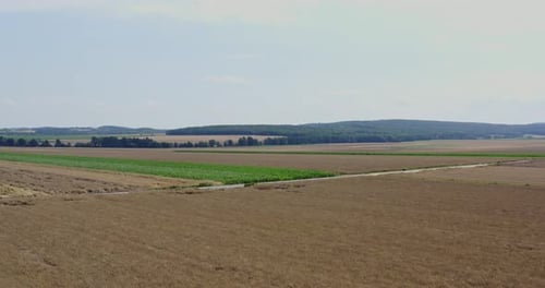 Aerial View of Golden Crops and Rural Farmland