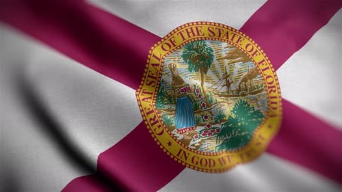 Waving Florida State Flag Loop Animation