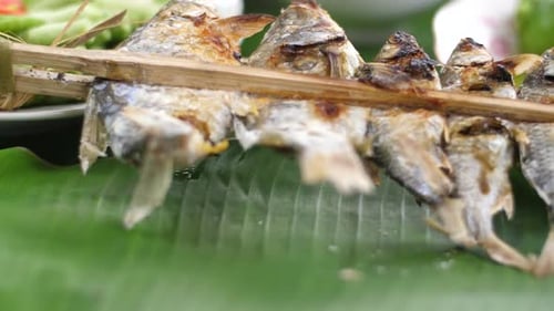 Grilled Fish