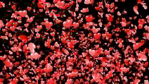 Falling Red Hearts and Petals Celebration Animation