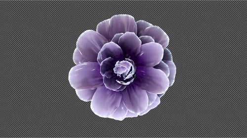 Spinnende Blume