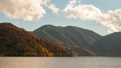 Natur im Herbst
