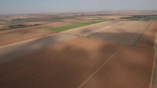 Aerial View of Combine Harvester in Farm Field