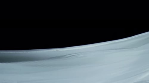 Cloth Curtain 102