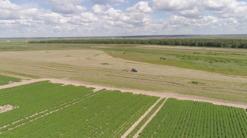 Trator com Rake Tedders no campo da fazenda