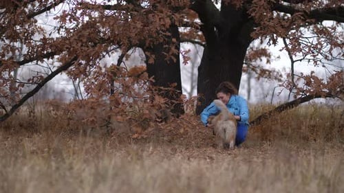 Woman and Dog Play Together in Autumn Park