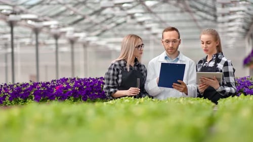 Researchers Examine Plants in Greenhouse with Technology
