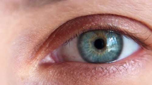 Nahaufnahme Macro Eye Schöne blaue Iris Natürliche Schönheit