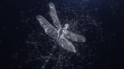 Libélula Plexus