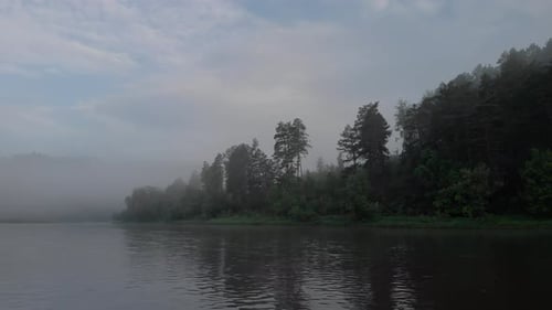 Swim to the forest in the early morning