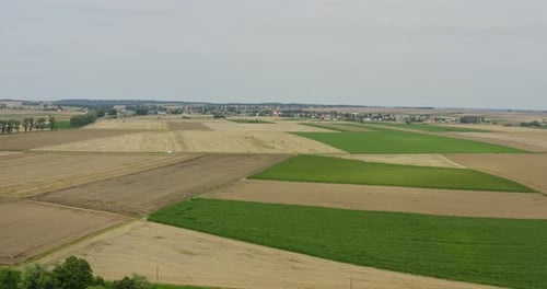 Aerial View of Green and Golden Farmland