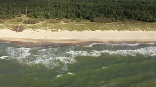 AERIAL: Pan Shot of Sandy Beach with Green Pine Forest in Background near Baltic Sea