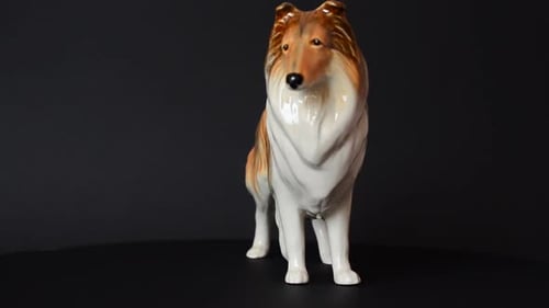 Dog 46