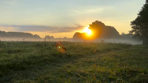 Time Lapse View of the Meadow and River Covered with Fog at Dawn