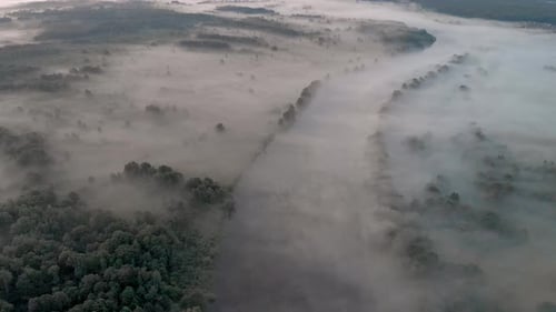 Misty Winding River in a Forest Area Before Sunrise at Dawn