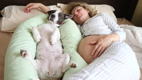 Pregnant Woman Sleeping Next To Pet Dog In Bed