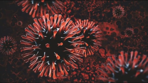 Dark Red Microscopic Organisms Floating 3D Science Animation
