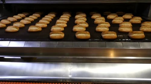 Readymade Bread in the Sorting Area