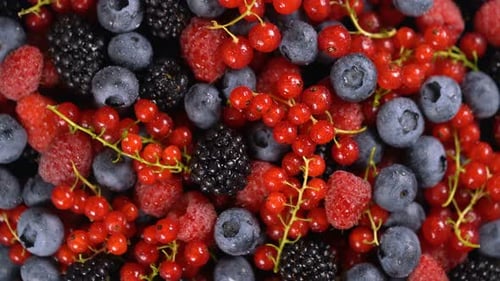 Assorted Colorful Berries Rotating Close-Up