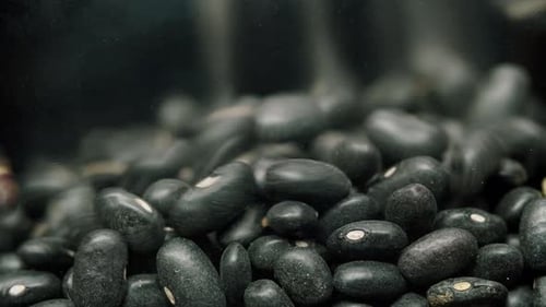 Heap of Uncooked Black Beans Filling the Frame