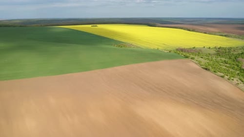Rural area with yellow and green fields