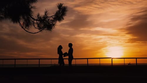 Silhouette d'un couple au coucher du soleil