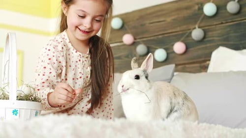 Close up of child feeding the rabbit