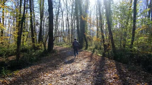Man Walks Along Leafy Path in Autumn Woods