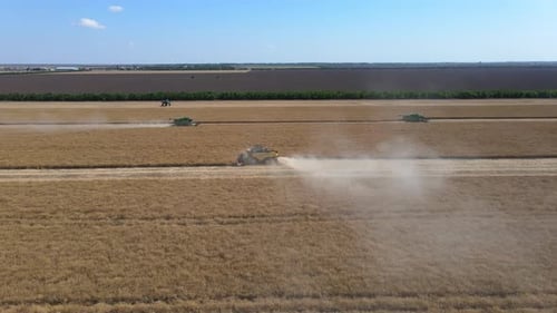 The Combine Harvester Harvests In The Field. From A Bird's Eye View