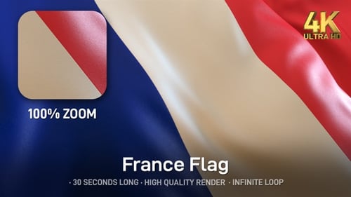 Realistic French Flag Waving Seamless Loop