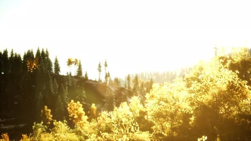 Coucher de soleil radieux dans les montagnes avec la forêt