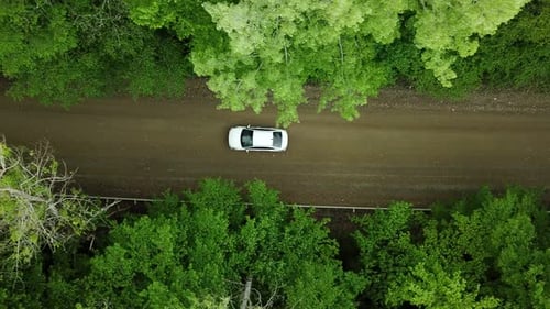 Aerial Top Down View of White Car Driving on Rural Road in Forest