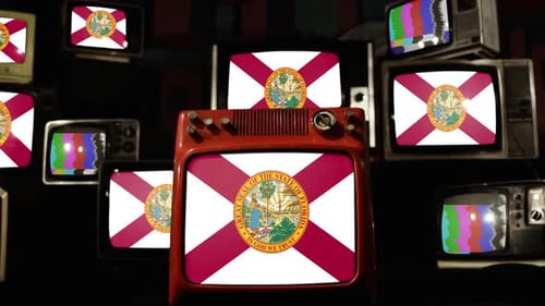Retro TVs Showing Florida State Flag and Glitch